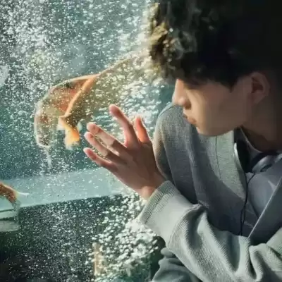 罗黛娥