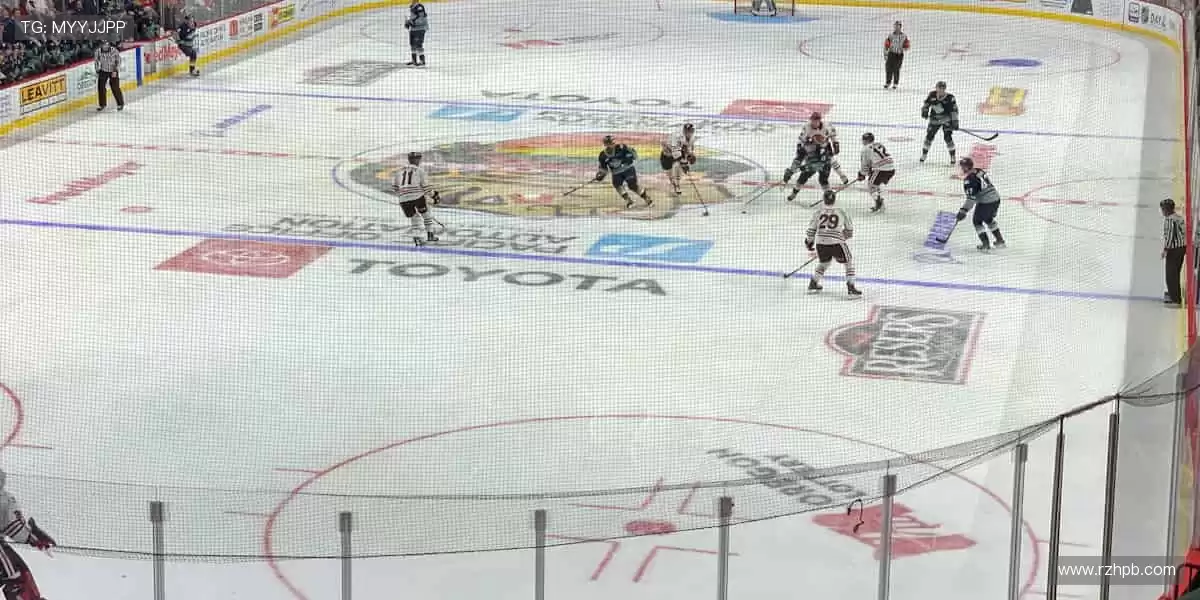 🛒球迷专属，热血助威！🎯球星同款，点燃你的热爱！